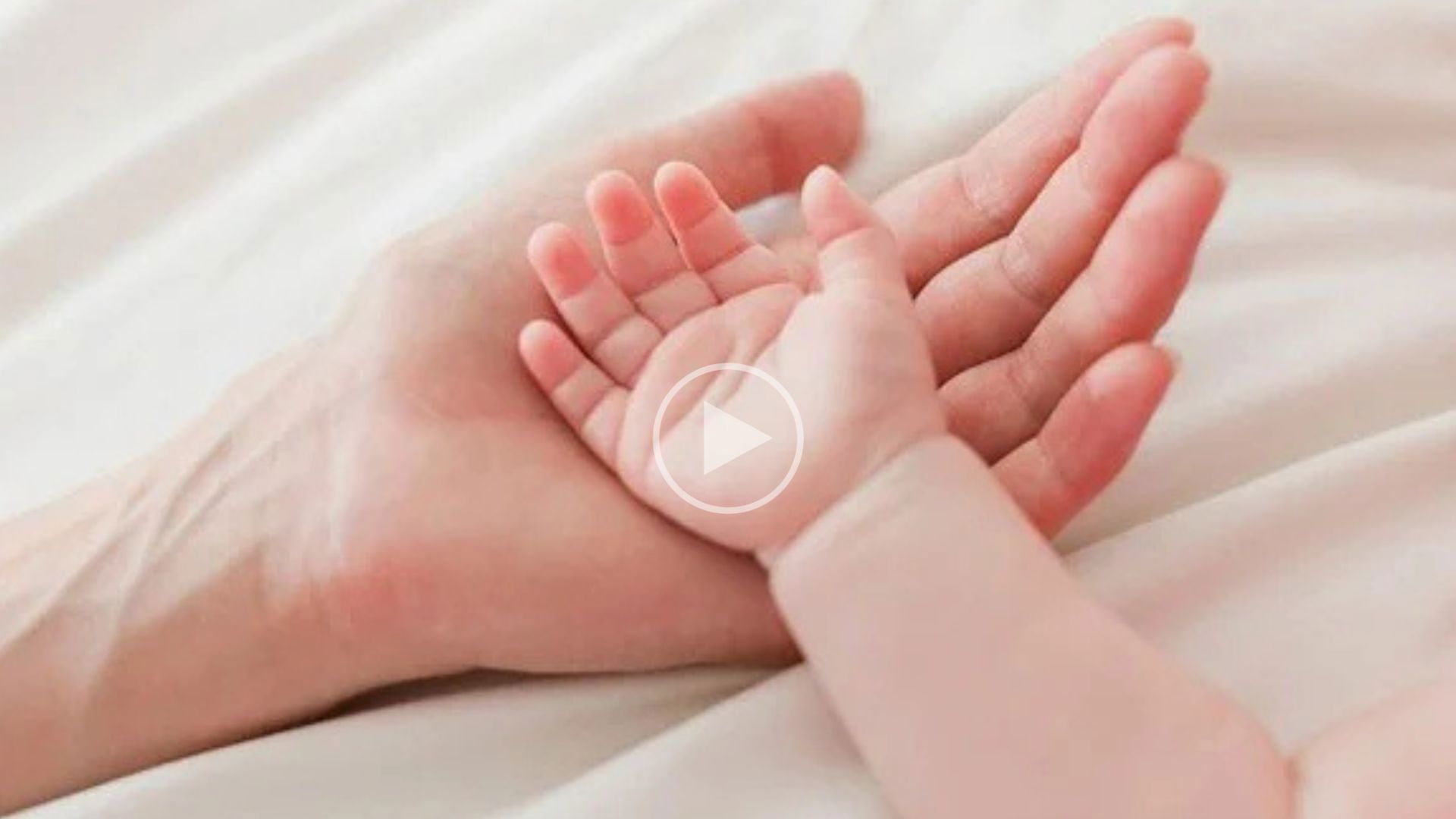Ảnh đại diện 8Jun88 giải trí miễn phí lấy ý kiến góp ý hoàn thiện Hồ sơ Dự án Luật Nuôi con nuôi (sửa đổi)
